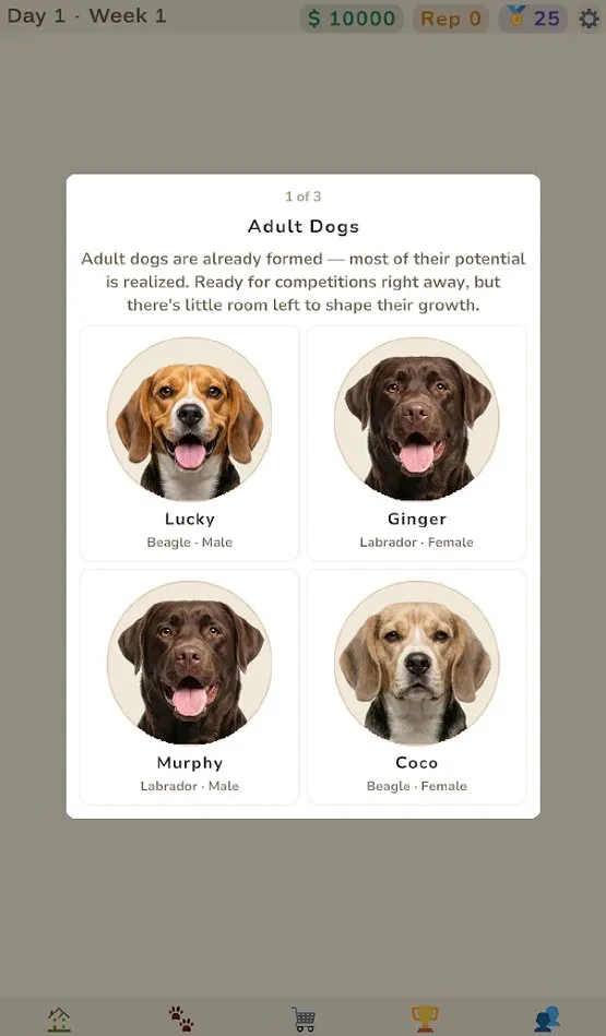 Picking a starter adult dog — adults are ready for competitions right away